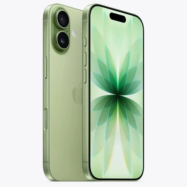 Apple iPhone: 256 ГБ, eSIM, зеленый