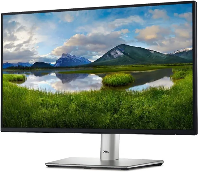 Dell P2225H: 21,5", 1920 × 1080, 100 Гц
