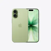 Apple iPhone: 256 ГБ, eSIM, зеленый