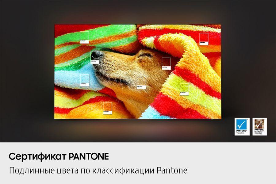 Thumbnail 14